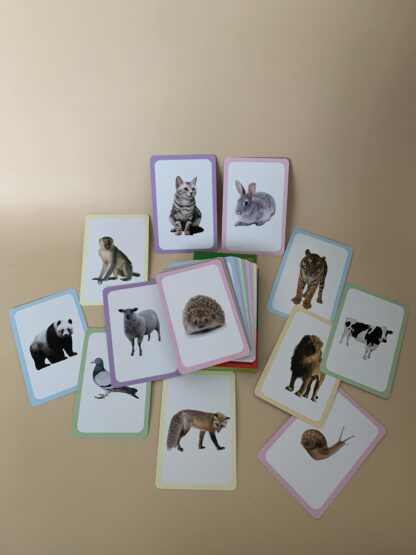 Õppekaardid loomad 36tk - Image 4