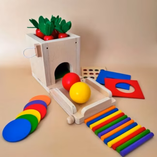 Arendav montessori puidust sorter 4in1