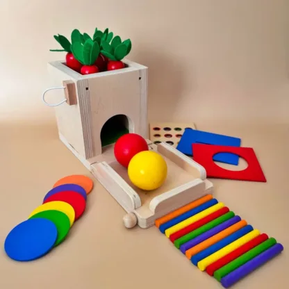 Arendav  montessori puidust sorter 4 in1