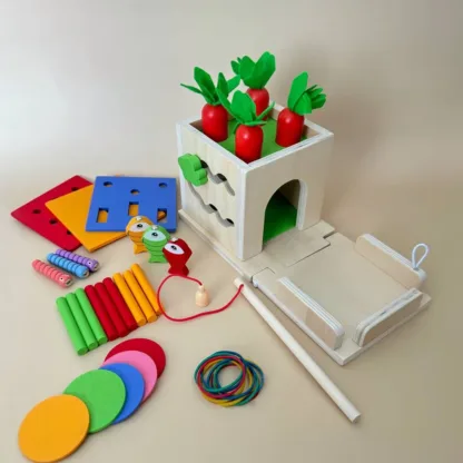 Arendav  montessori puidust sorter 8 in1