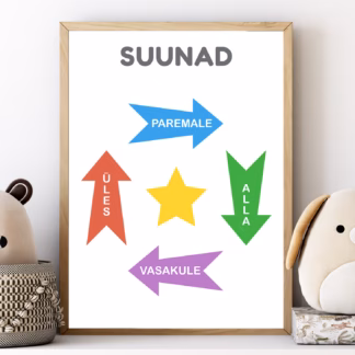 Suundadega õppeposter