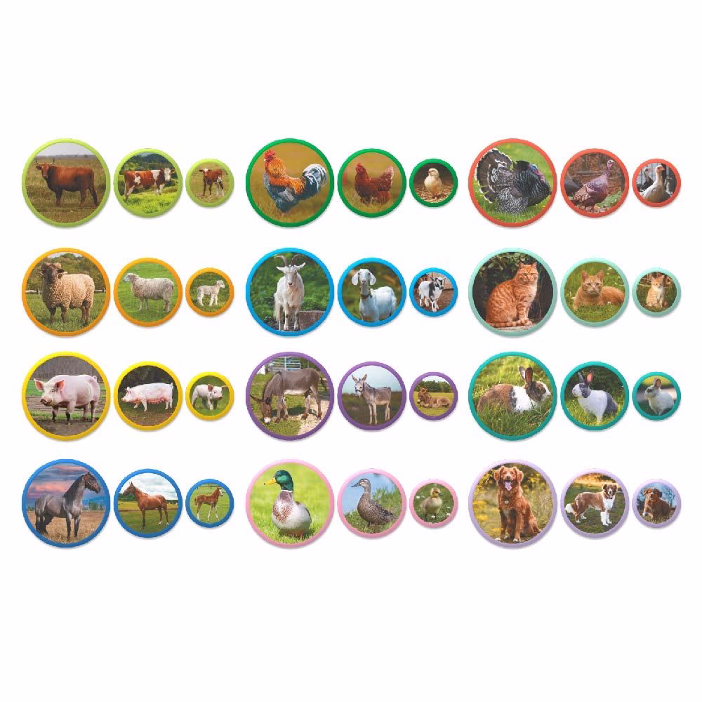 Montessori Magnetic Cards "Animal Families" - Image 3
