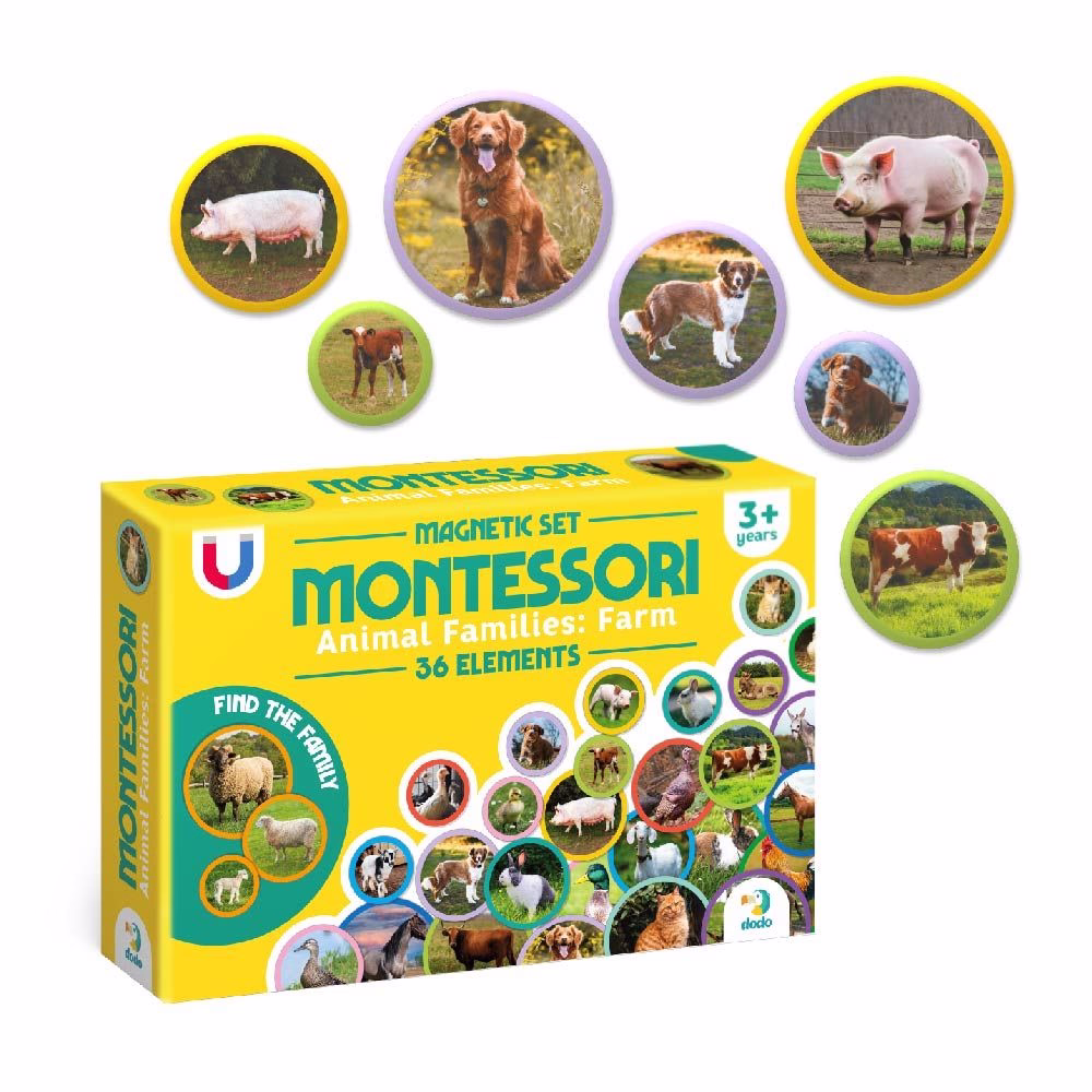 Montessori Magnetic Cards "Animal Families" - Image 2