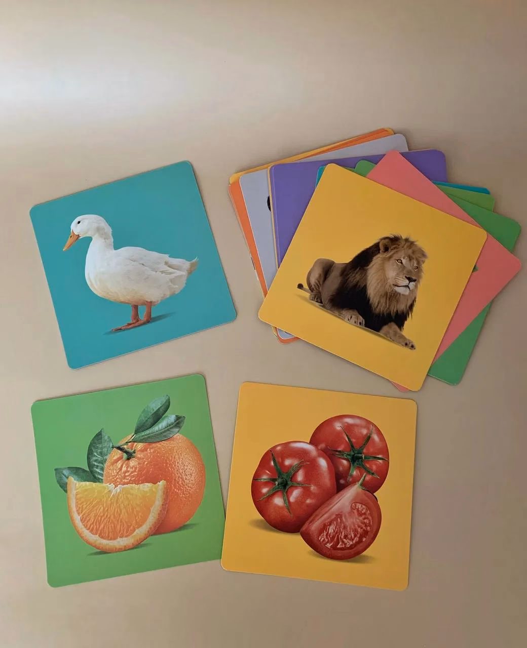 Colourful learning cards 12–26 months - Image 3